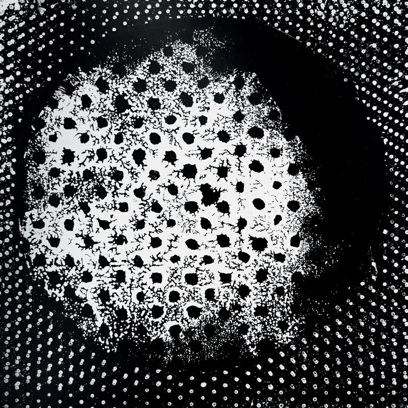 2026_05_09_3044691
