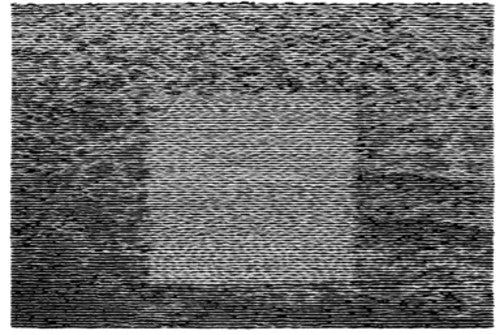 2026_05_09_3087928