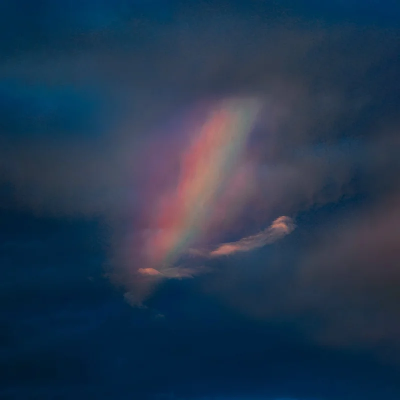 2026_05_09_3180102