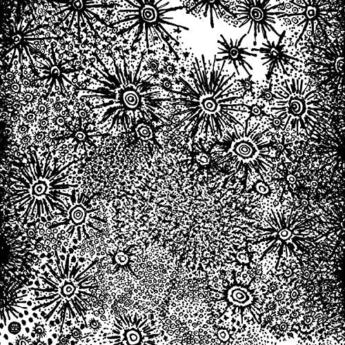 2026_05_11_3552595