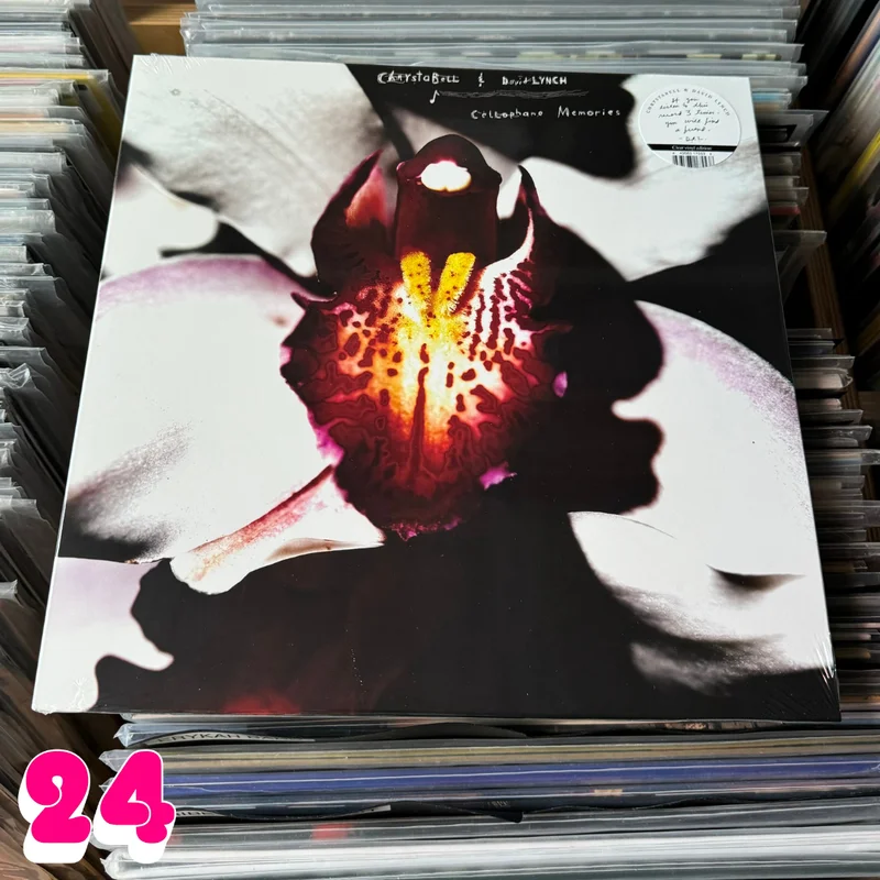 strangerthanparadiserecords202605071102202710431
