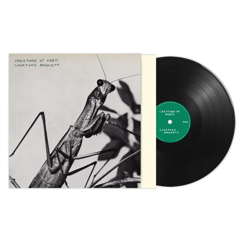 strangerthanparadiserecords202605071107322711354