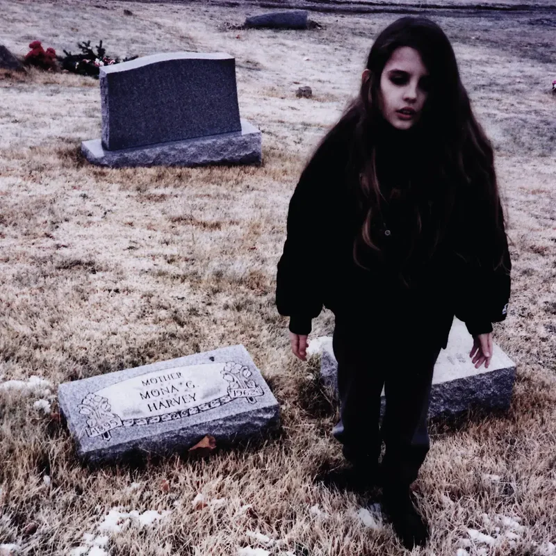strangerthanparadiserecords202605071108592711605