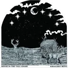 strangerthanparadiserecords202605071256312734714