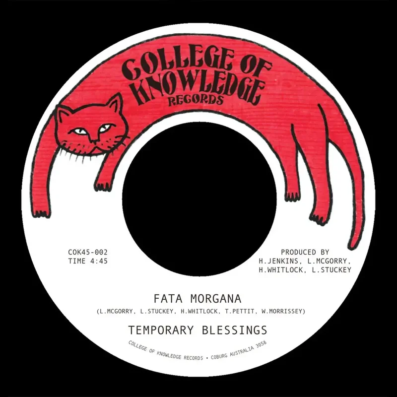 strangerthanparadiserecords202605071545512768597