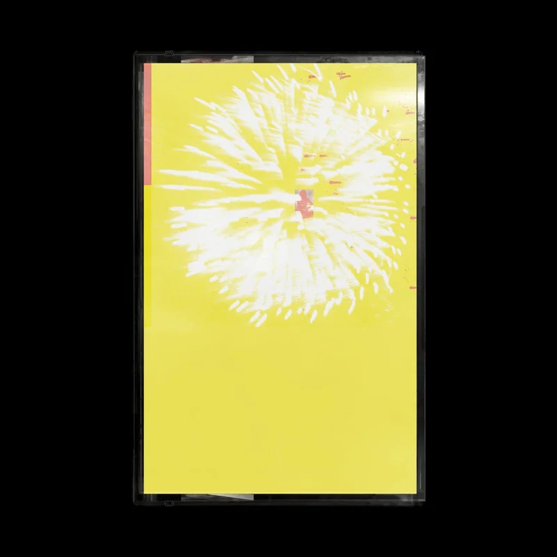 strangerthanparadiserecords202605071829082784149